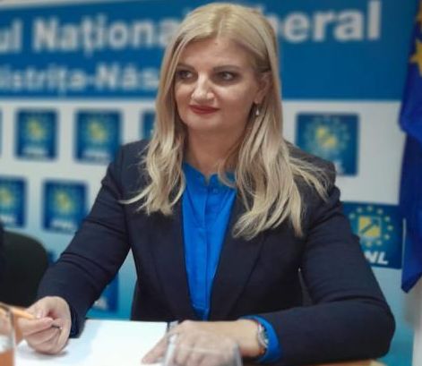 Deputatul Diana Morar Despre Comasarea Alegerilor Din 2024 Este