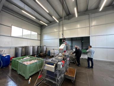 Ferma Pomicolă Jelna, un loc în care natura, tradiția și inovația se împletesc armonios image 1